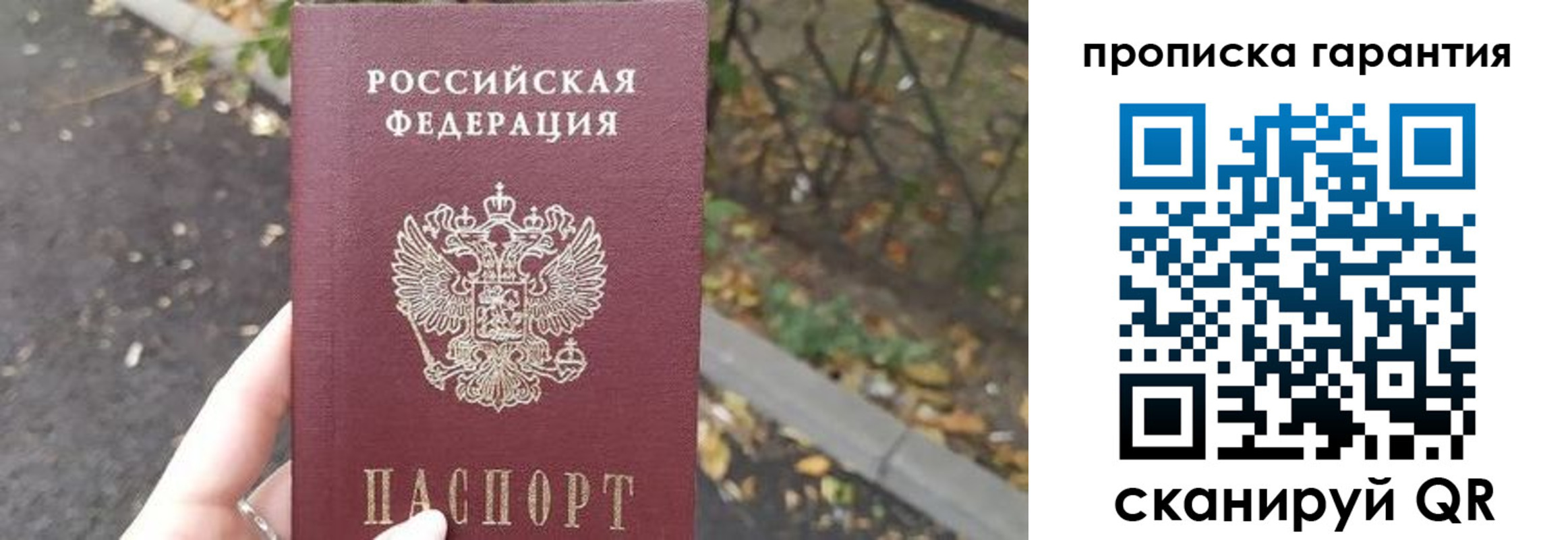 где прописаться в Порхове